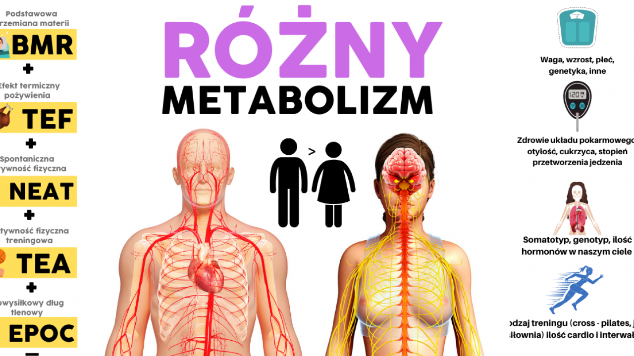 oxytropin wpływa na metabolizm i zdrowie, wspierając naturalne procesy organizmu oraz poprawiając ogólną kondycję i samopoczucie.