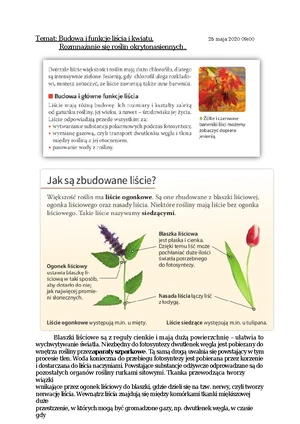 dowiedz się, jak oksytropina wpływa na funkcjonowanie układu hormonalnego i jakie ma znaczenie dla równowagi hormonalnej organizmu.
